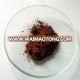 Cadmium Oxide Nanoparticles